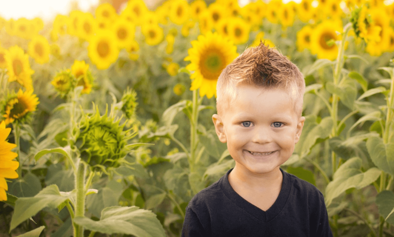 daycare vs preschool